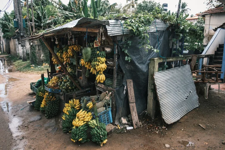 FUJIFILM X-PRO 3 - Auf Reisen in Sri Lanka