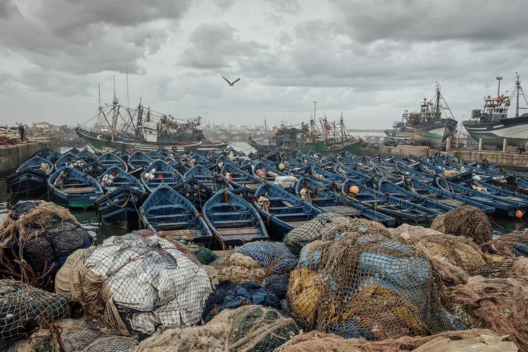 Sony World Photography Awards 2017 - Mein Foto in den Top 50