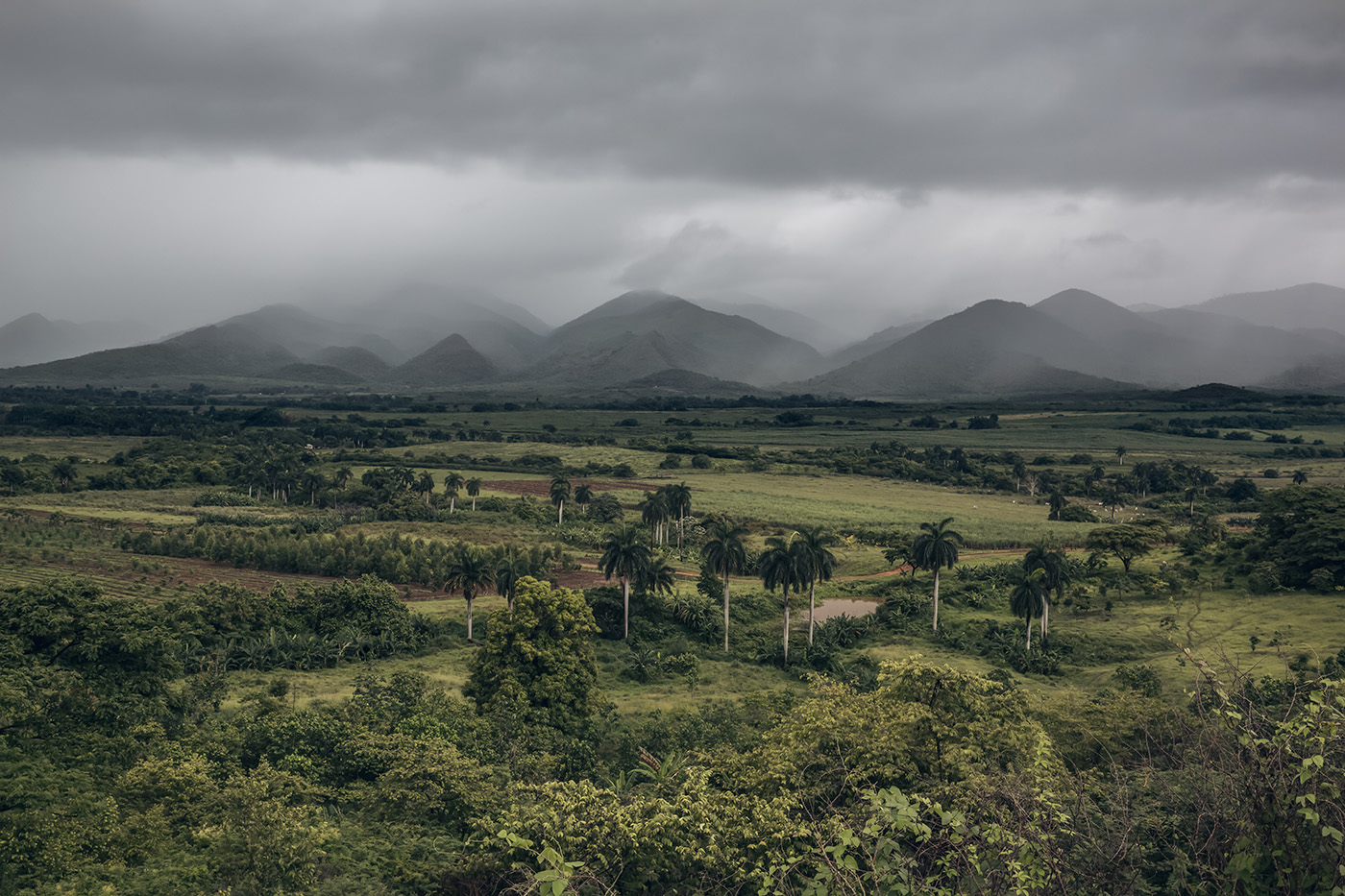 Trinidad Landscape