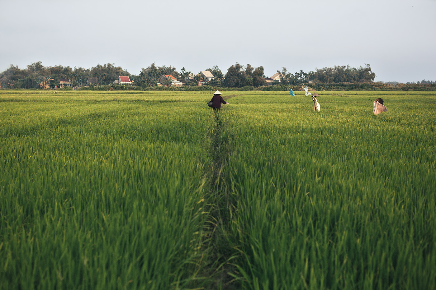 The Path Between